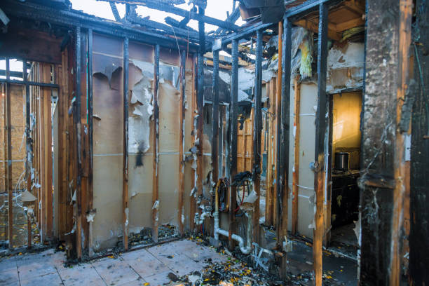 Professional Fire Damage Removal technician working in Arden on the Severn, MD